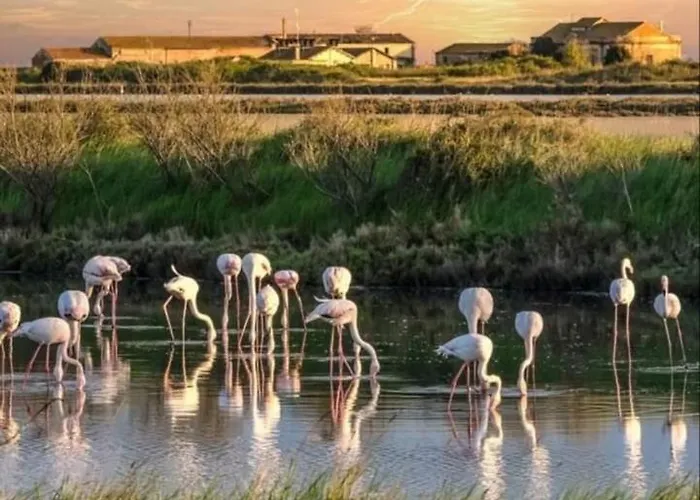 Cantarano Bed & Breakfast Porto Garibaldi