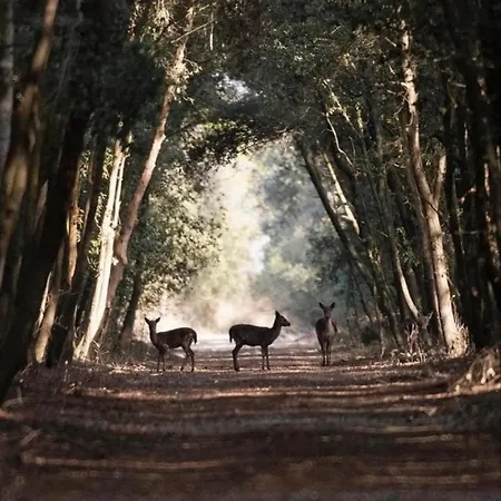 Bed & Breakfast Cantarano 3*